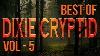 Ten Bigfoot Encounter Stories_Best of Vol 5