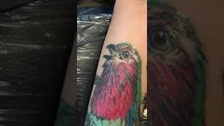 Fully healed bird tattoo at Don.jay tattoo hong kong| #1