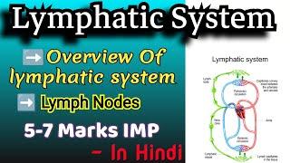 Lymphatic System | In Hindi | Human Anatomy and Physiology -1 #bpharmacy