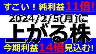 2024/2/5(月) に株価が上がる株、ストップ高候補株、株式投資・デイトレの参考に。アルメディオ、ザインエレクトロニクス、オルガノ、三越伊勢丹、東京エネシス