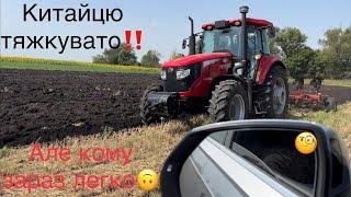 Душимо китайця Оранка по пшениці‼️ Скільки візьме на га/️YTO NLX 1404 +Alpler TOR 3+1‼️ Важко‼️