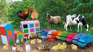 Mobil Truk Oleng hewan Angkut Ayam Warnawarni Didalam Rumah Susun,singa,Sapi,Kelinci,Bebek,Gajah