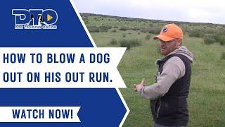 How To Blow A Dog Out On His Out Run.