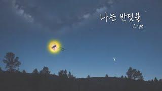 고기택 - 나는 반딧불