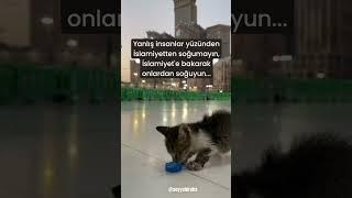 İslamiyetten Soğumayın #yanlış #insan #islamiyet #soğuk #islam #shorts #viralvideo