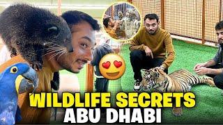 Wildlife Secrets- home of wild animals around the world / Jimmy junaid zoologist