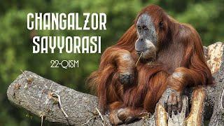 "Changalzor sayyorasi" 22-qism - Dunyo bo'ylab TV