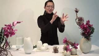 Accent Decor T2: Simply Intriguing