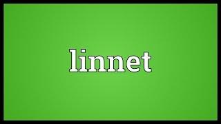 Linnet Meaning