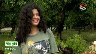 Deepto Krishi - দীপ্ত কৃষি | EP1272 | ক্রস ব্রিডিং পদ্ধতিতে কিভাবে ছাগলের প্রজনন করতে হয় | Deepto TV