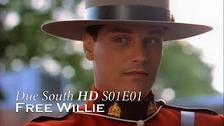 Due South HD - S01E01 - Free Willie