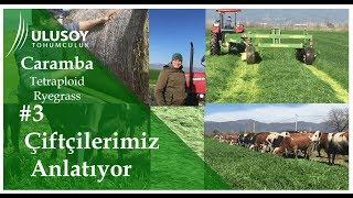 Caramba Eken Çiftçilerimiz Anlatıyor #3 - Ulusoy Tohumculuk