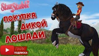 Покупка Дикой Лошади в Star Stable Online | Buying the NEW Jorvik Wild