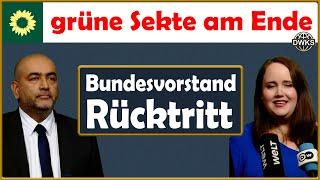 Ist das der Anfang vom Ende der radikalen Ökopartei?