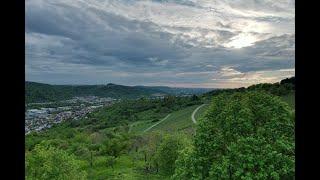 Remstal von Oben -  Weinberge Remshalden-Geradstetten