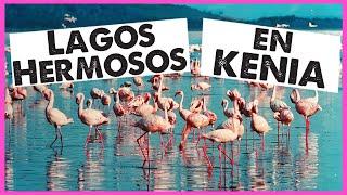 Visitando LAGOS ÚNICOS en KENIA | Safari en Kenia 2023 | Visa al Mundo