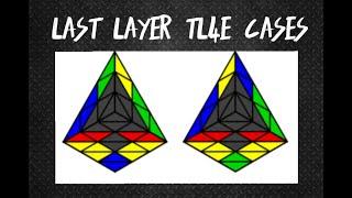 Full TL4E Tutorial | Part 2 | Last Layer Cases