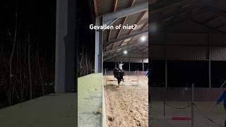 GEVALLEN of NIET?? #horse #horsefail #equestrian