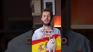 Сколько слов в испанском надо знать чтобы общаться на бытовые темы?