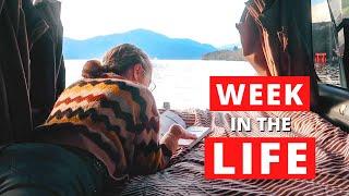 Our Last Week in the Campervan - Van Life Japan