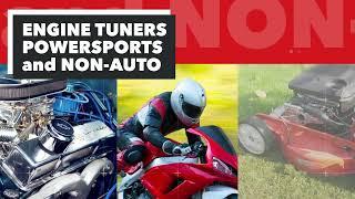 NGK Spark Plugs - What's in our Box