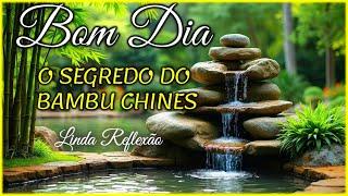 Mensagem de Bom Dia e Reflexão I O Segredo do Bambu Chinês