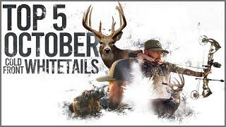 Our Top 5 October Cold Front Whitetail Hunts!