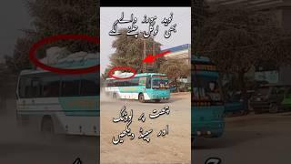 Naveed movers #youtubeshorts #trendingshorts #foryou #bus #ytshort