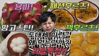 도대체 이런걸 무슨맛에 먹는걸까 7편! [제이제이] 용과, 패션후르츠, 망고스틴, 잭후르츠 과일특집!!