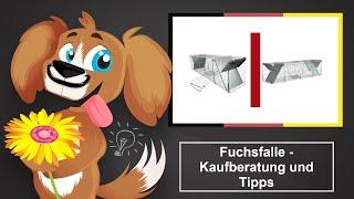  Welche Fuchsfalle ist gut geeignet?- Kaufberatung und Tipps