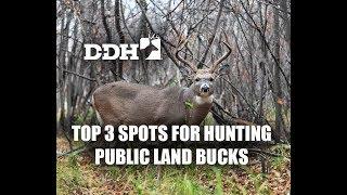 Top 3 Spots for Hunting Public Land Bucks