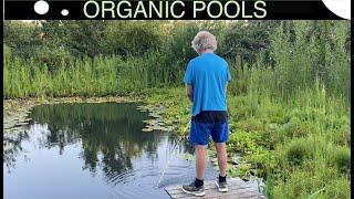 Strange Ingredient for Clear Water in an Organic Pool