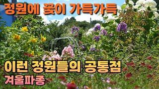 꽃이 풍성한 정원을 만들기 위한 필수 작업, 겨울파종을 알려드립니다