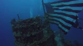USCG Shipwreck in Key Largo Mosquito