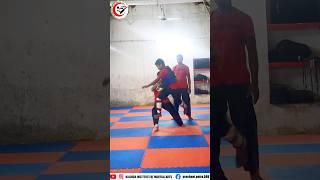 Top Pencak Silat scissor Technique #pencaksilat #silatmartialart #technique #pencaksilatbalangir