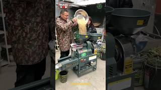 Rice Milling Machine #shorts