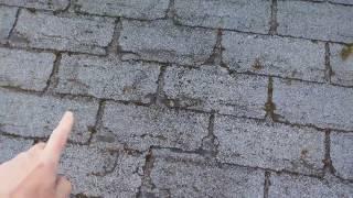 Old roof with asphalt shingles cupping & curling vs. fiber glass shingle that crack