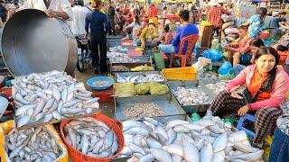 Cambodian Fish Market Tour - Early Morning Scenes of Vendors & Buyers @Chhbar Ampov Market