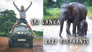 Habarana Baby Elephants and Cloudy Riverston Mountains -  Sri Lanka Travel Vlog