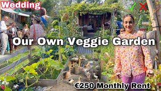 ️I Want to Rent Our Own Veggie Garden €250 Monthly Rent  Dutch People Wedding Reception .!!