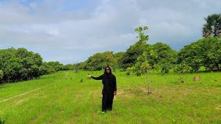 0% interest opportunity on land in Gunjur Gambia!!! (Dalaba Real Estate)