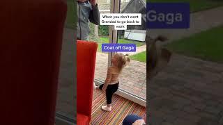 Cute baby doesn’t want Grandad to go to work | #shorts