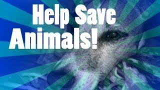 Saving Animals ASPCA Spoof!!