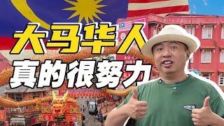 [ENG SUB] Former "Piglets", How Are Malaysian Chinese Doing Now?