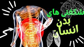 حقایق جالب درباره ی بدن انسان