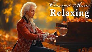 Relaxing classical music: Beethoven, Mozart, Tchaikovsky, Chopin, Bach... Music for the soul