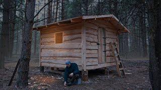 Off grid cabin building in the woods, start to finish no talking