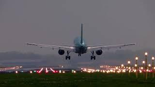 Plane Landing From Behind - Copyright Free Stock Footage Clip