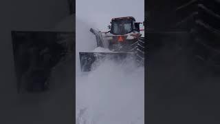 Snowblower