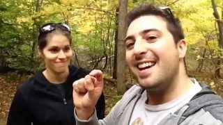 Look at all the Fall Colours! Nothin' Much Vlog! 49